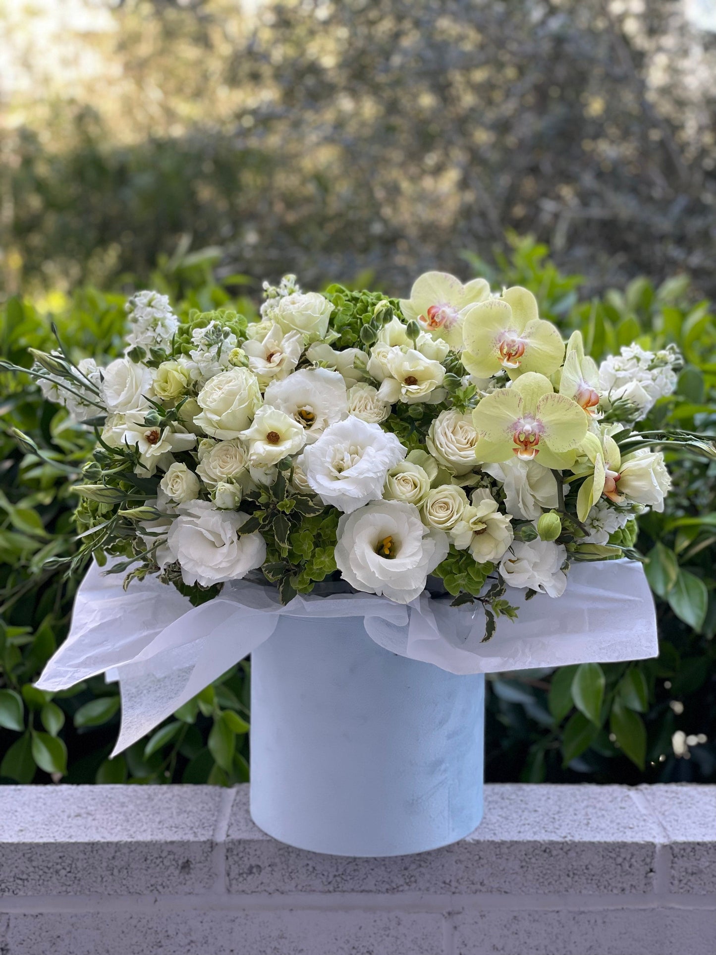 Caja de verano con orquídeas limón