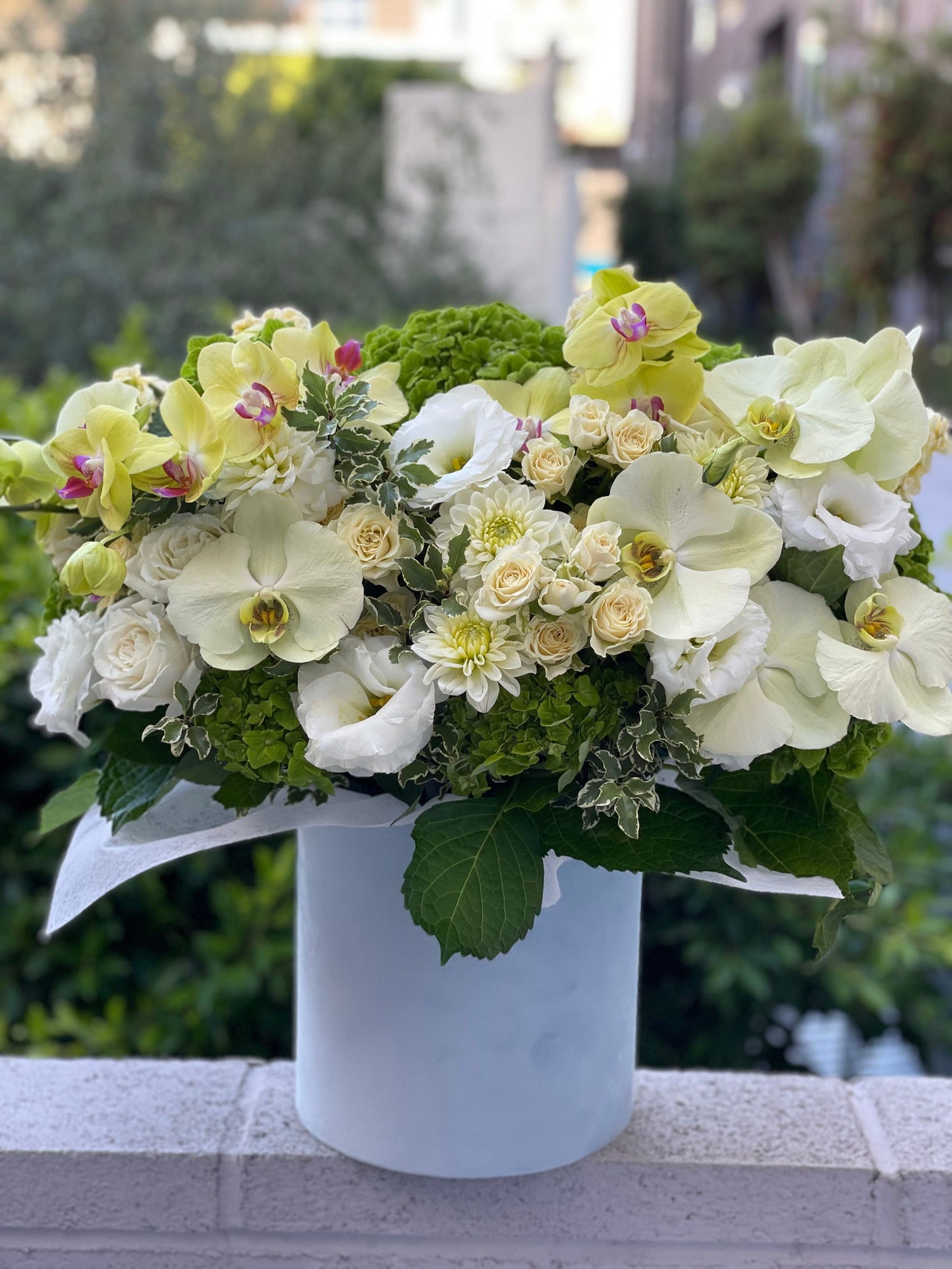 Caja de verano con orquídeas limón