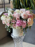 Peony Bloom