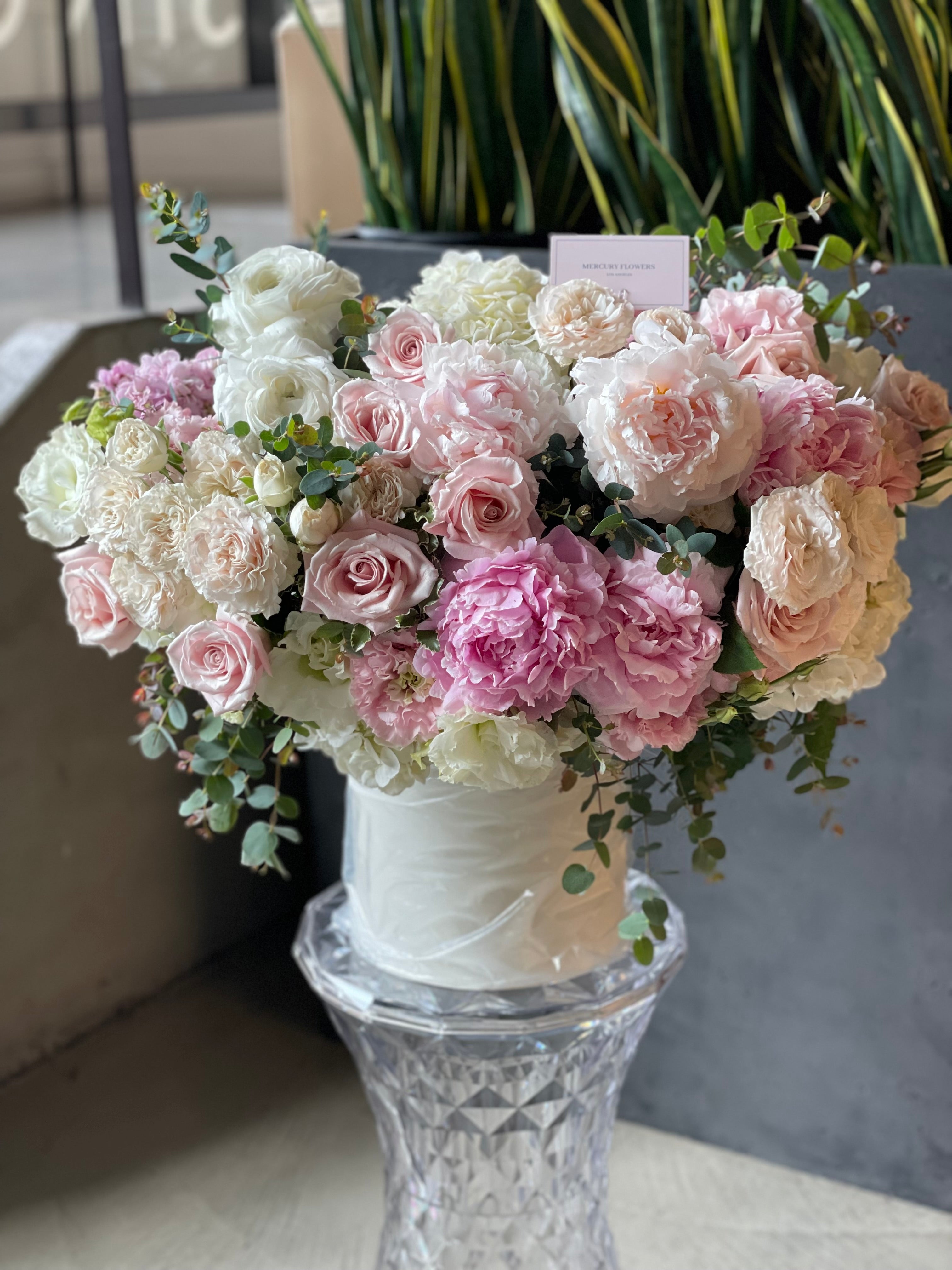 Peony Bloom