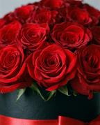 Midnight Passion Rose Box