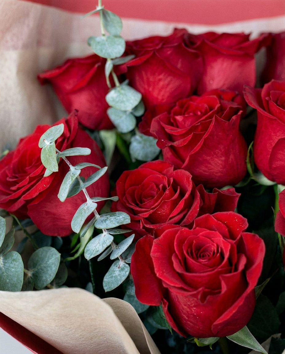 Classic Scarlet Roses
