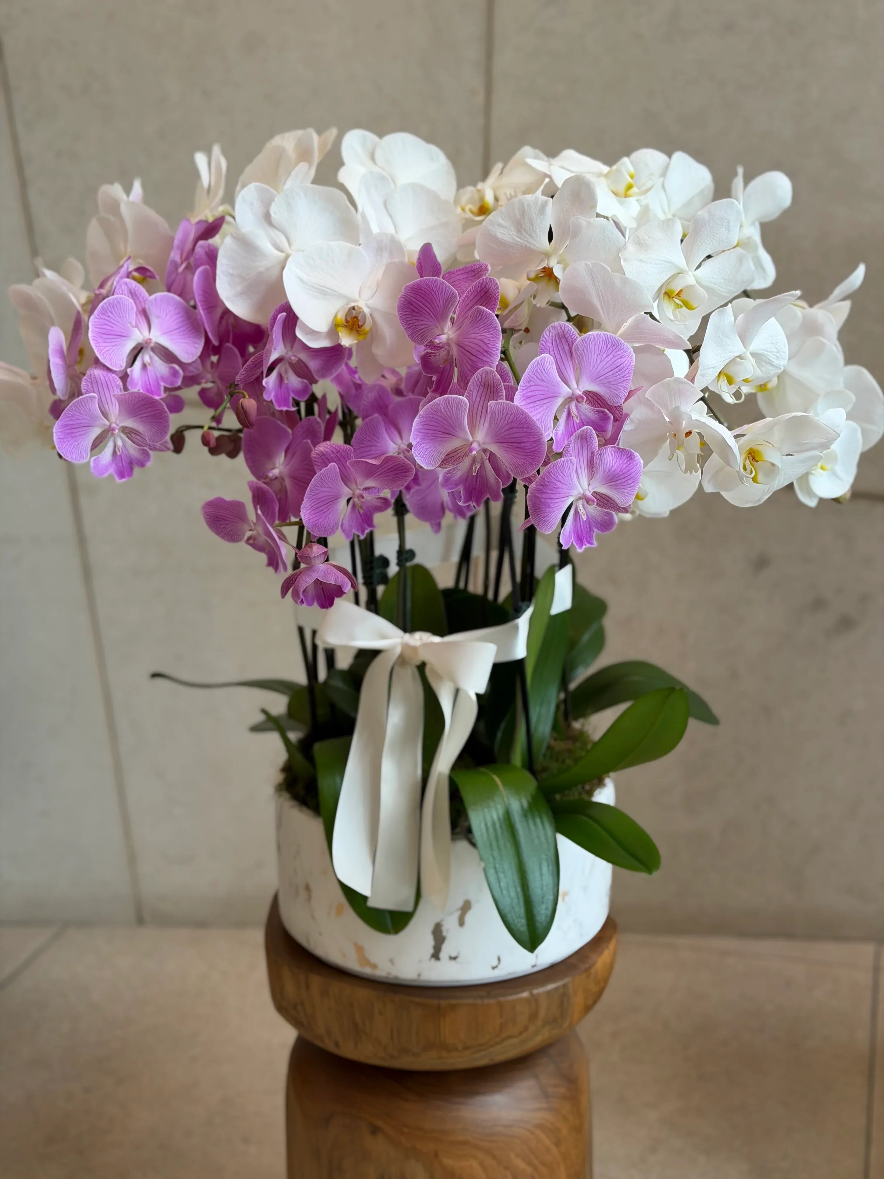 Mix Orchids in a ceramic vase