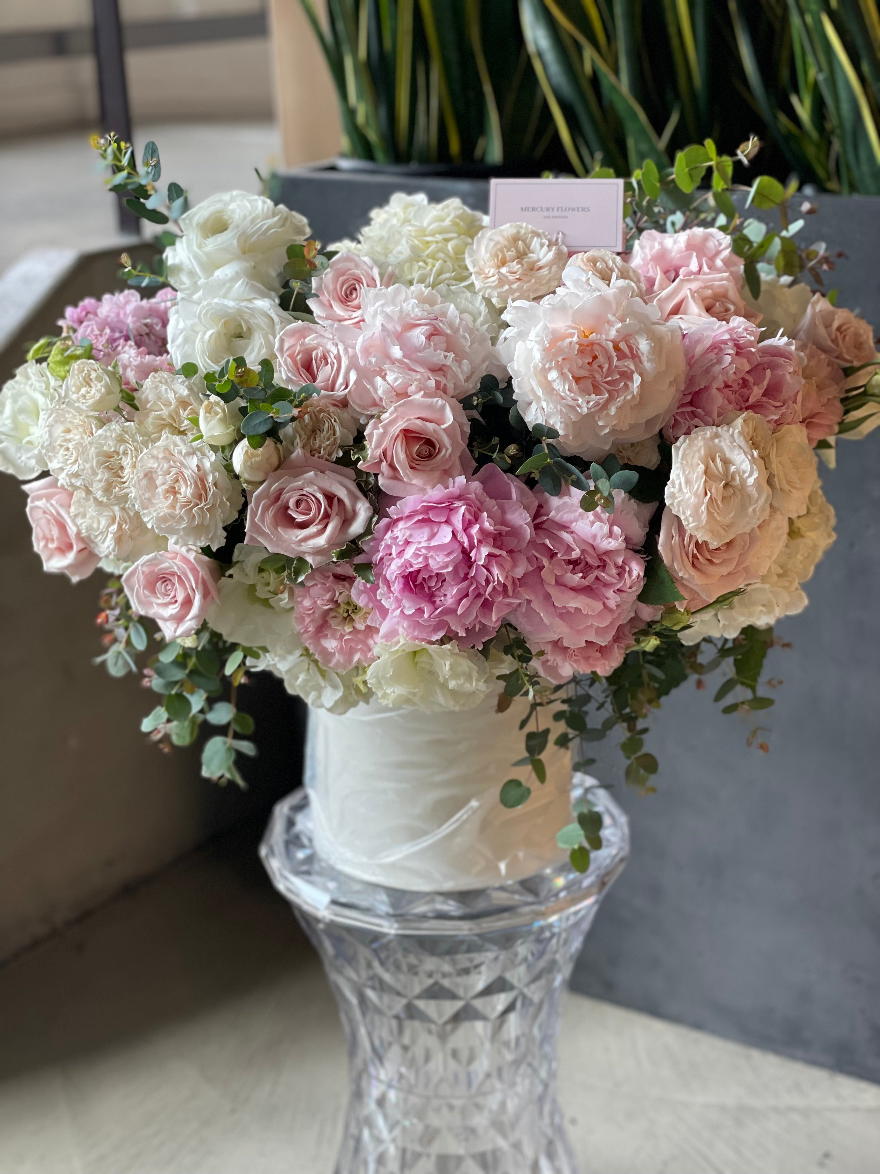 Peony Bloom