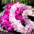 Graduation flowers leis
