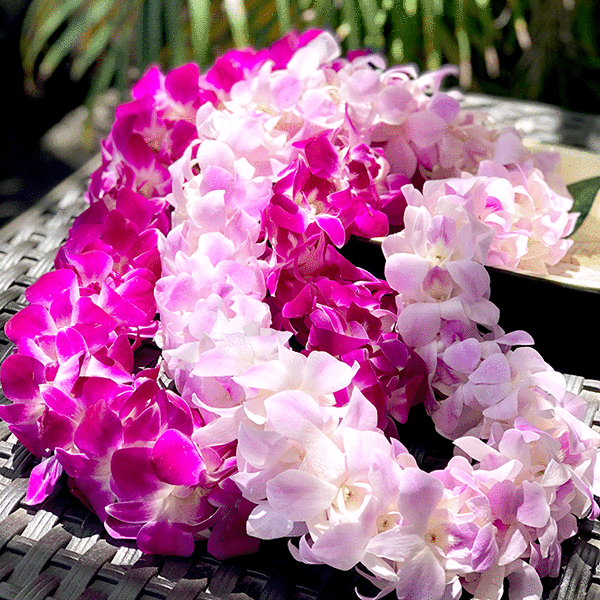 Graduation flowers leis