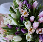 100 tulips