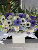 Caja N.16 Hortensia azul con mix de anémonas espectaculares