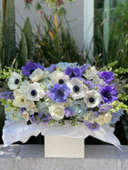 Caja N.16 Hortensia azul con mix de anémonas espectaculares