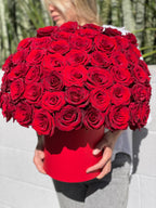 Box of 50 gorgeous red roses