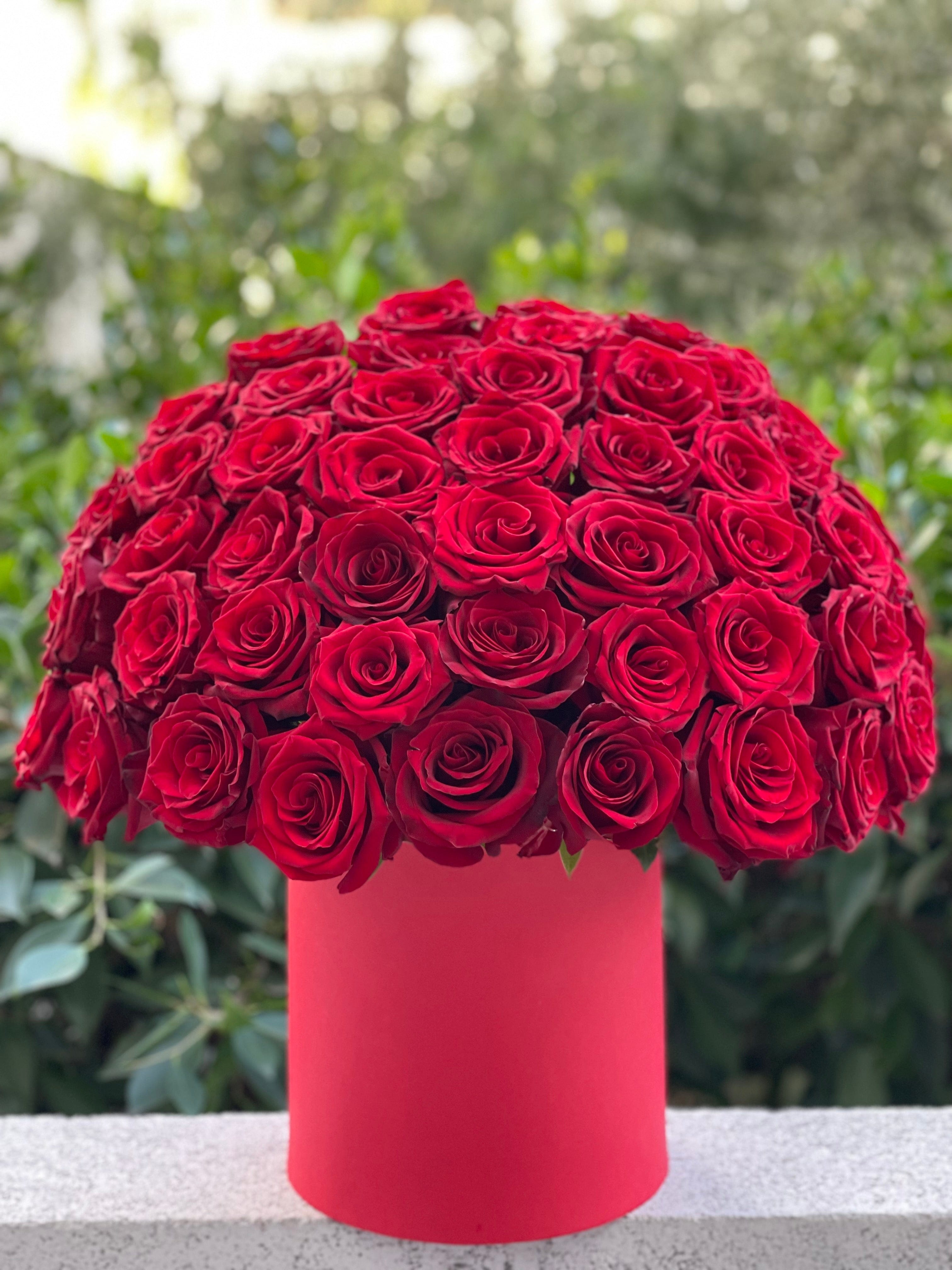 Box of 50 gorgeous red roses