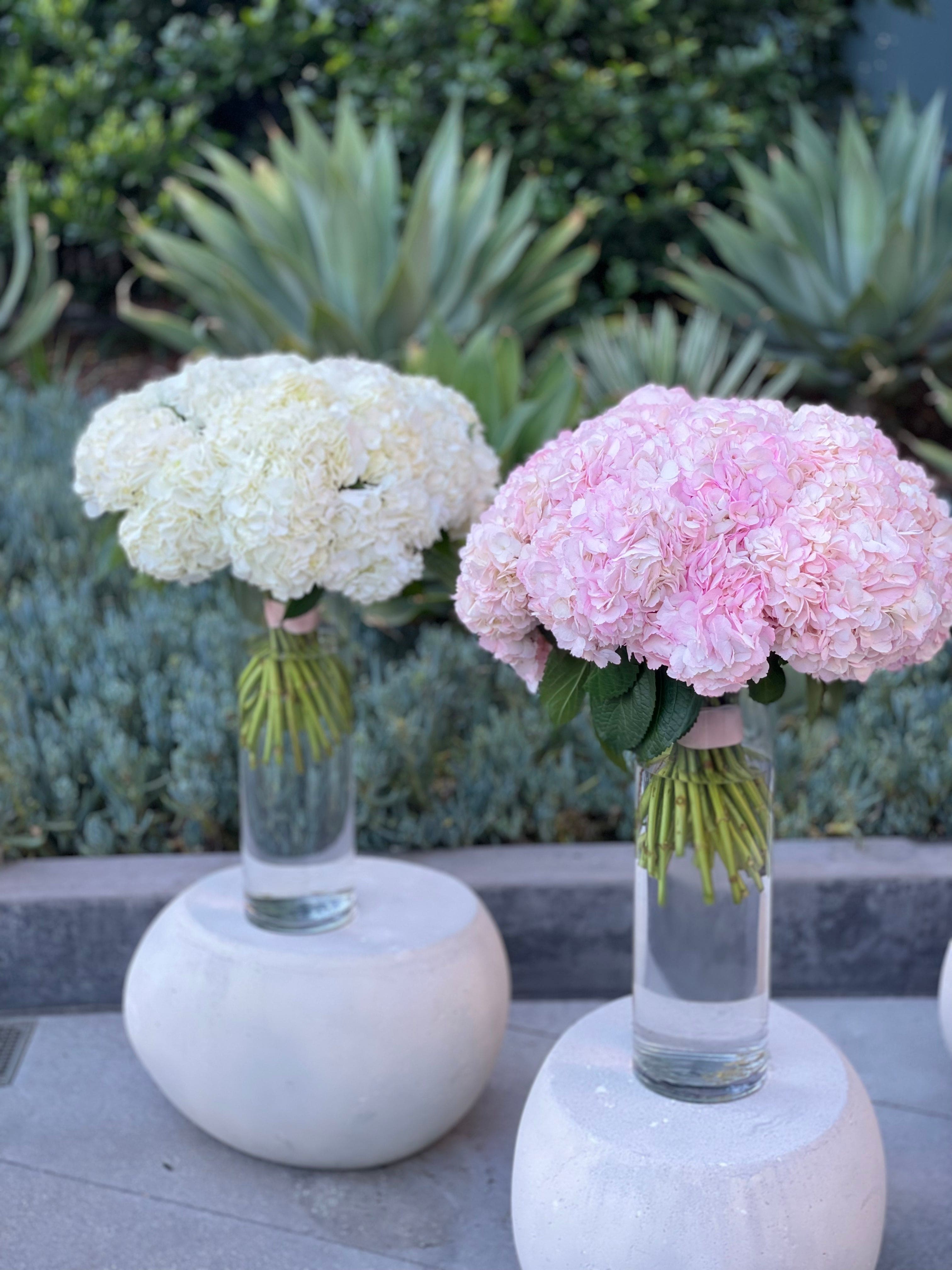 Bouquet of adorable hydrangeas
