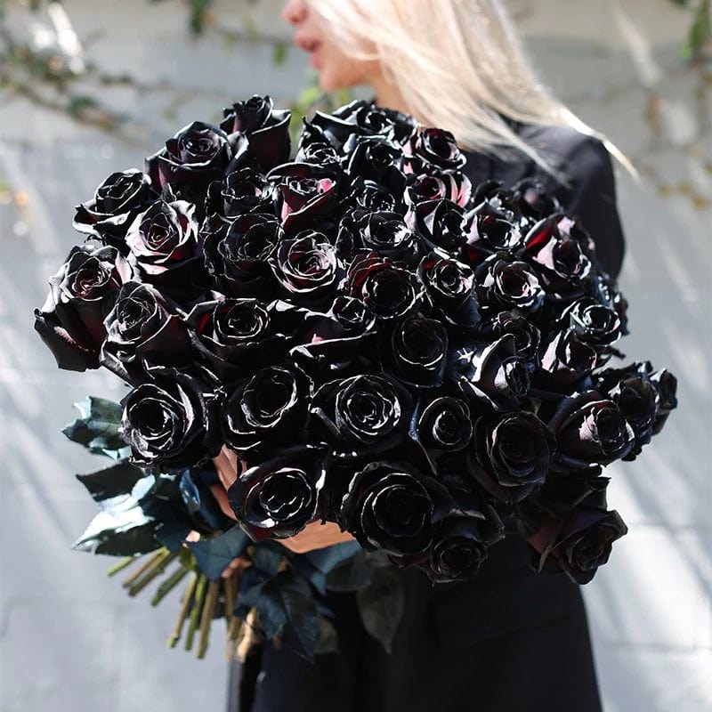 Bouquet of black roses