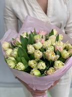 Mix of tulips
