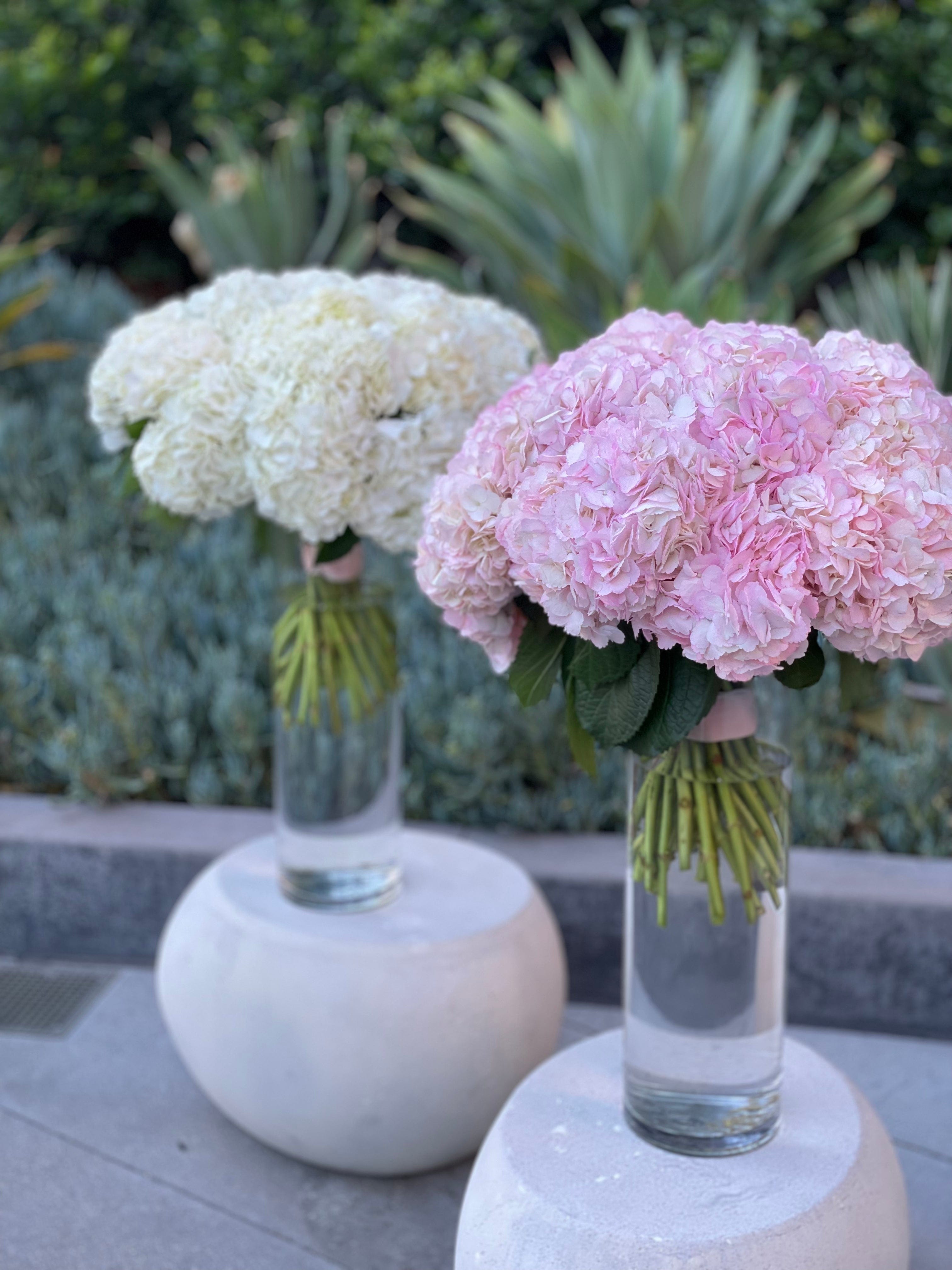 Ramo de adorables hortensias