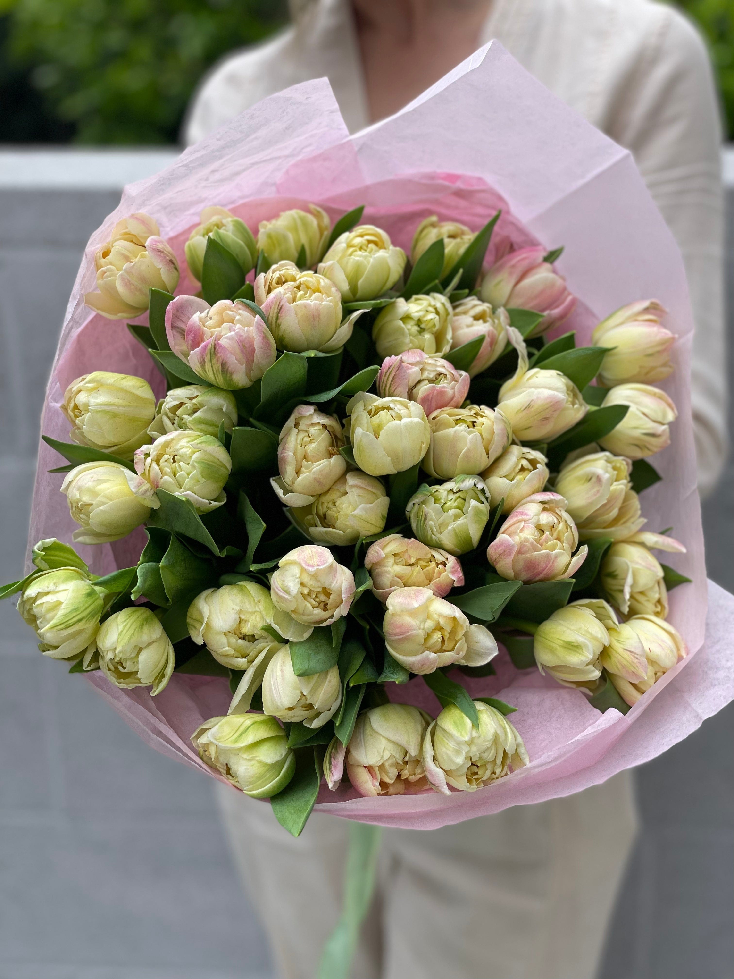 Mix of tulips