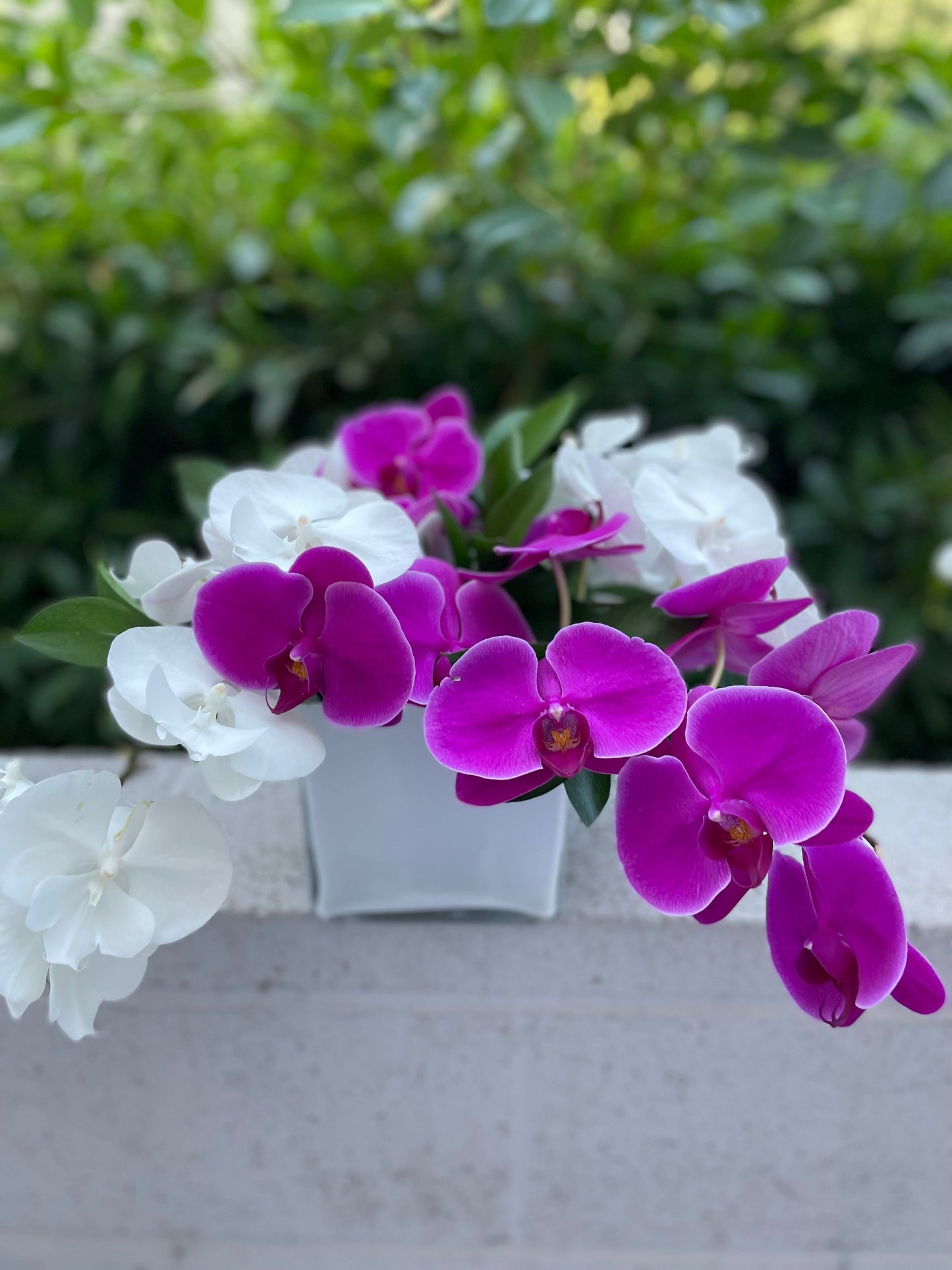 Purple and white orchids in a medium vase