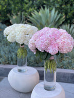 Bouquet of adorable hydrangeas