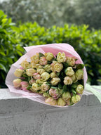 Mix of tulips