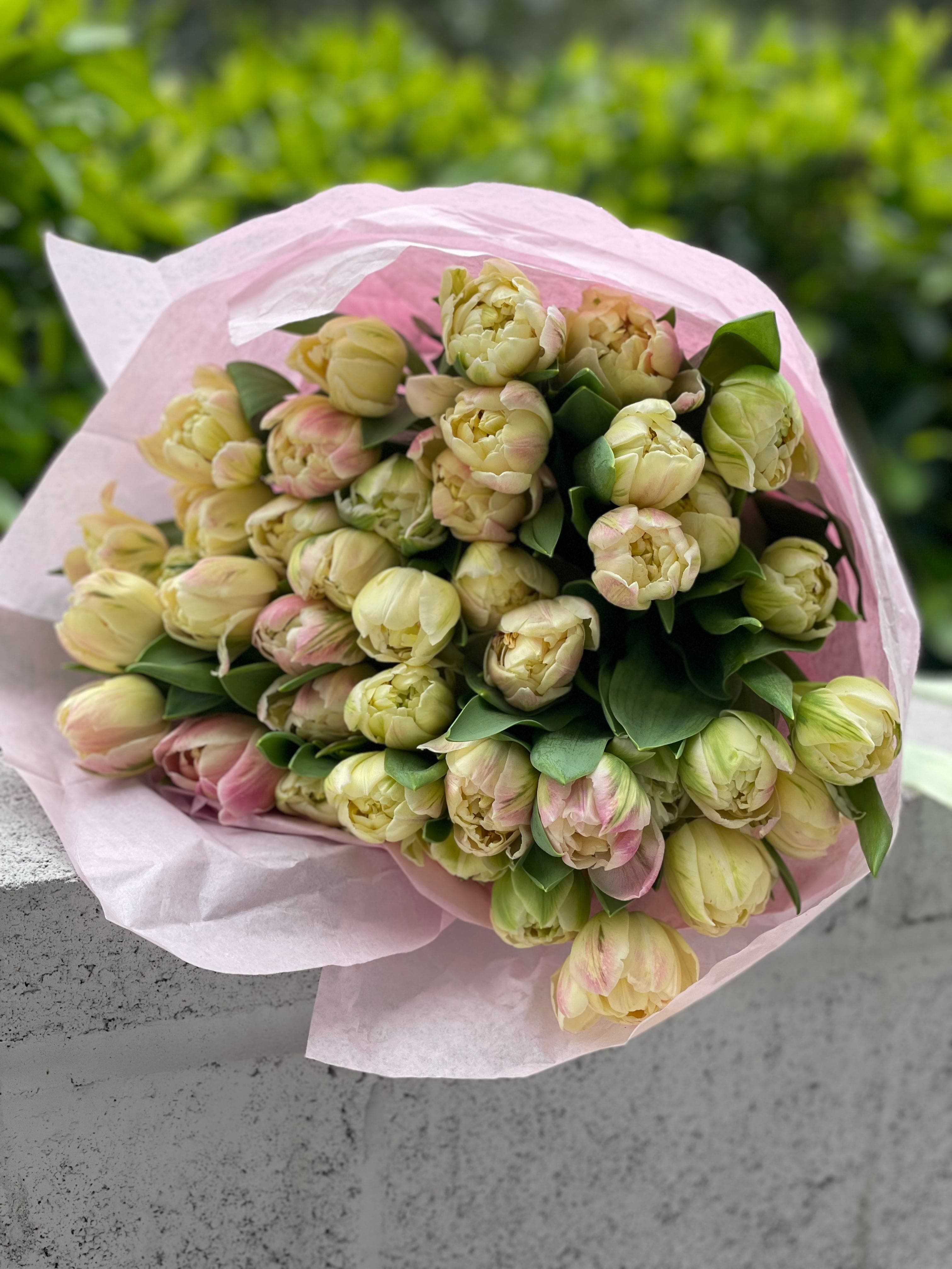 Mix of tulips
