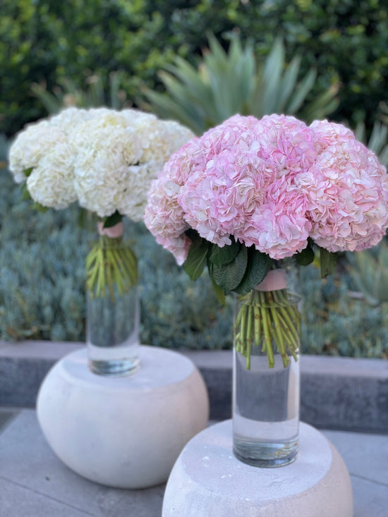 Bouquet of adorable hydrangeas