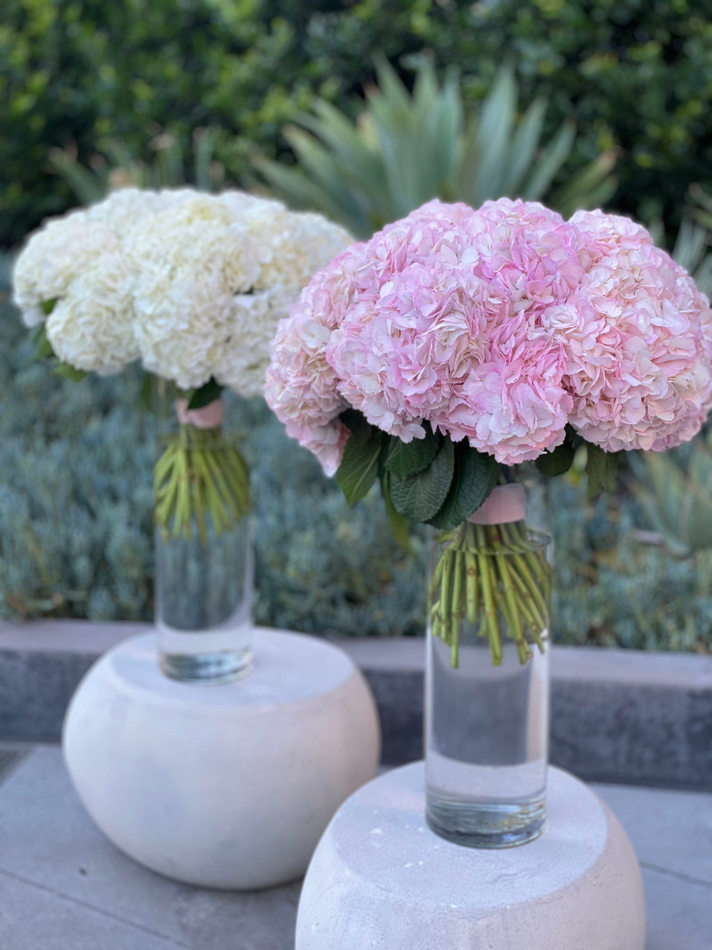 Bouquet of adorable hydrangeas