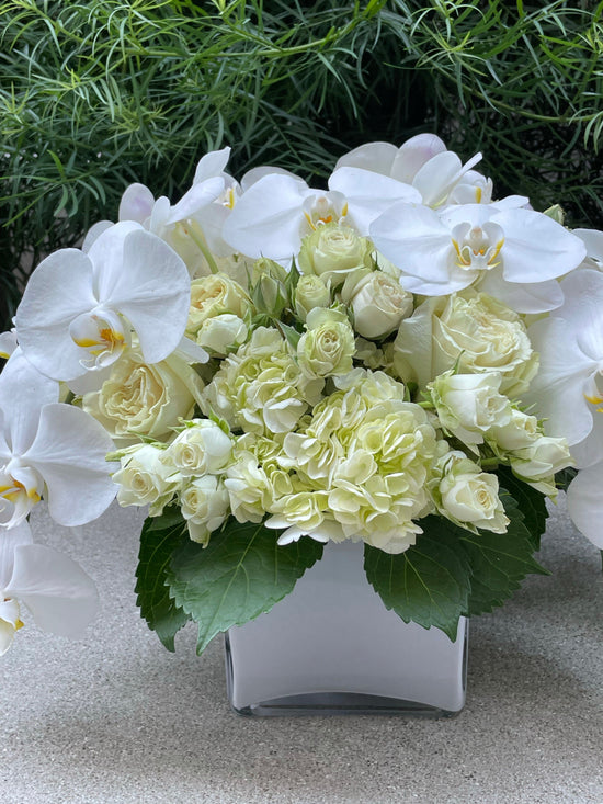 White orchids with white roses in a large vase