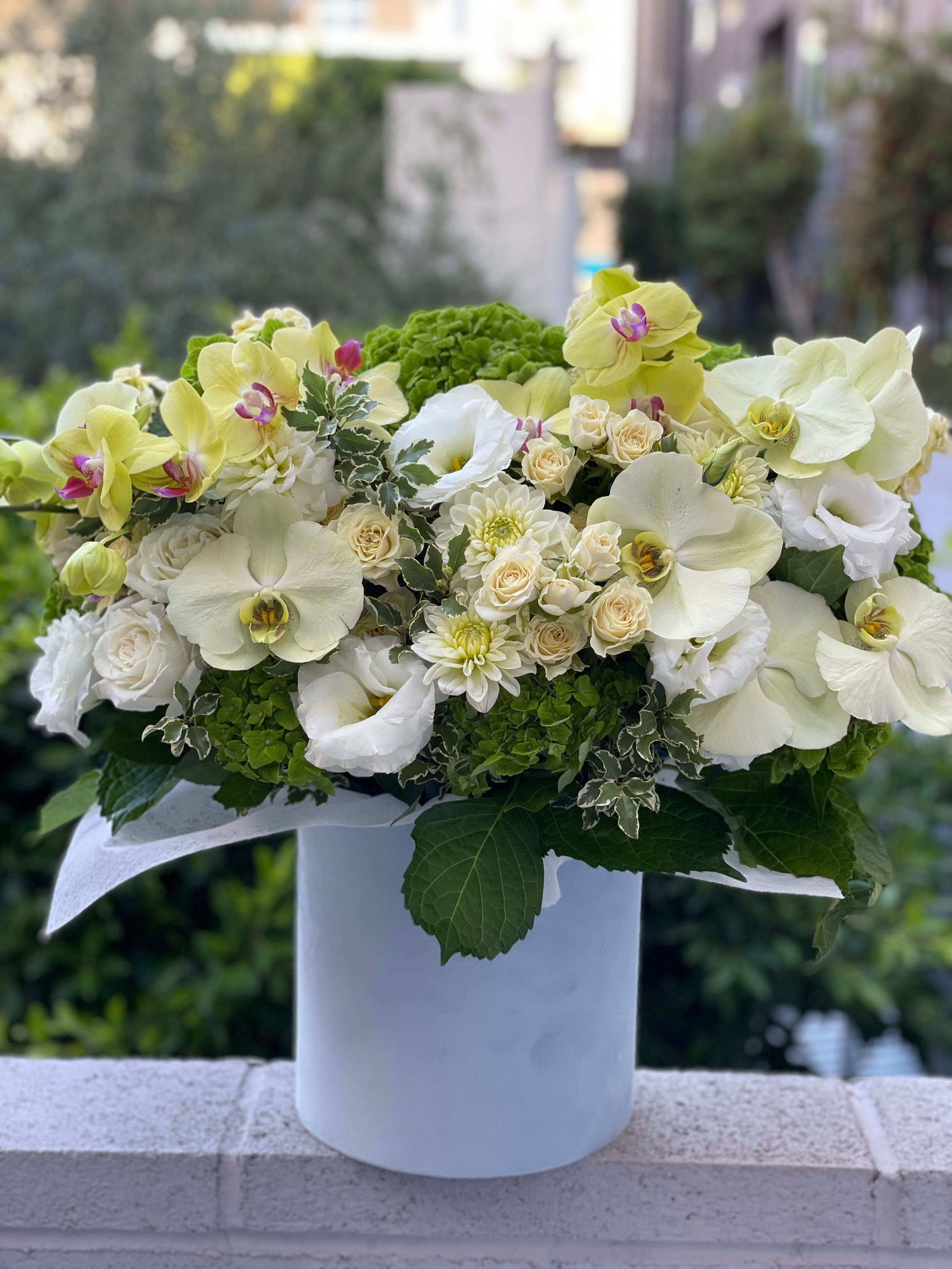 Summer box with lemon orchids