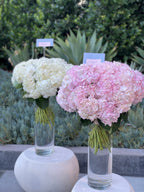 Bouquet of adorable hydrangeas