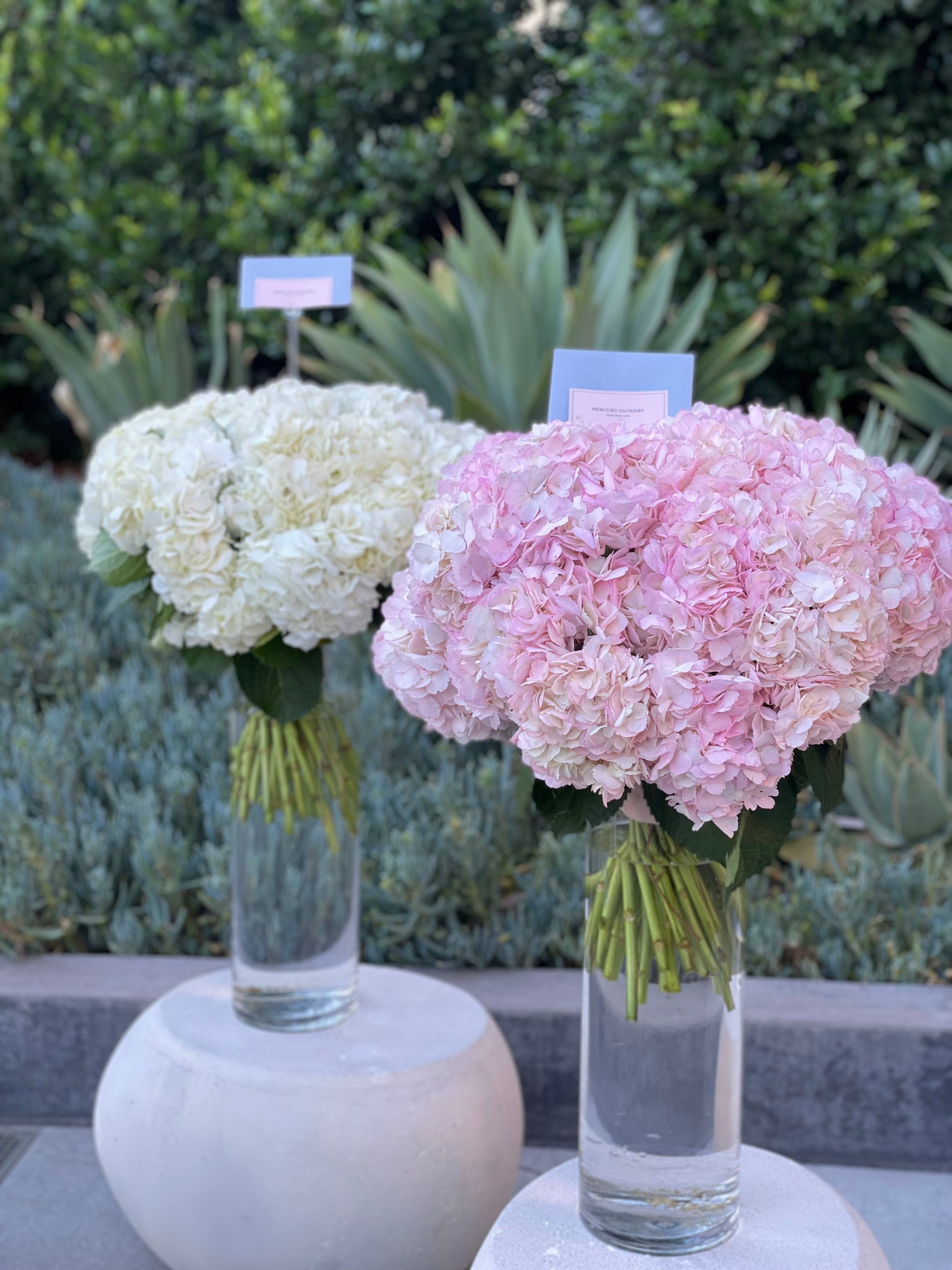 Ramo de adorables hortensias
