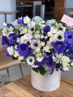 Grand box with anemones