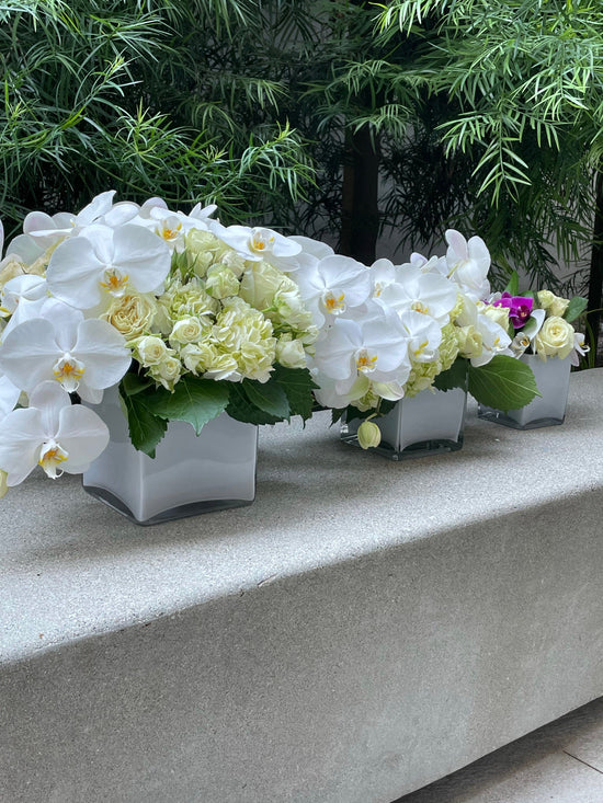 White orchids with white roses in a large vase