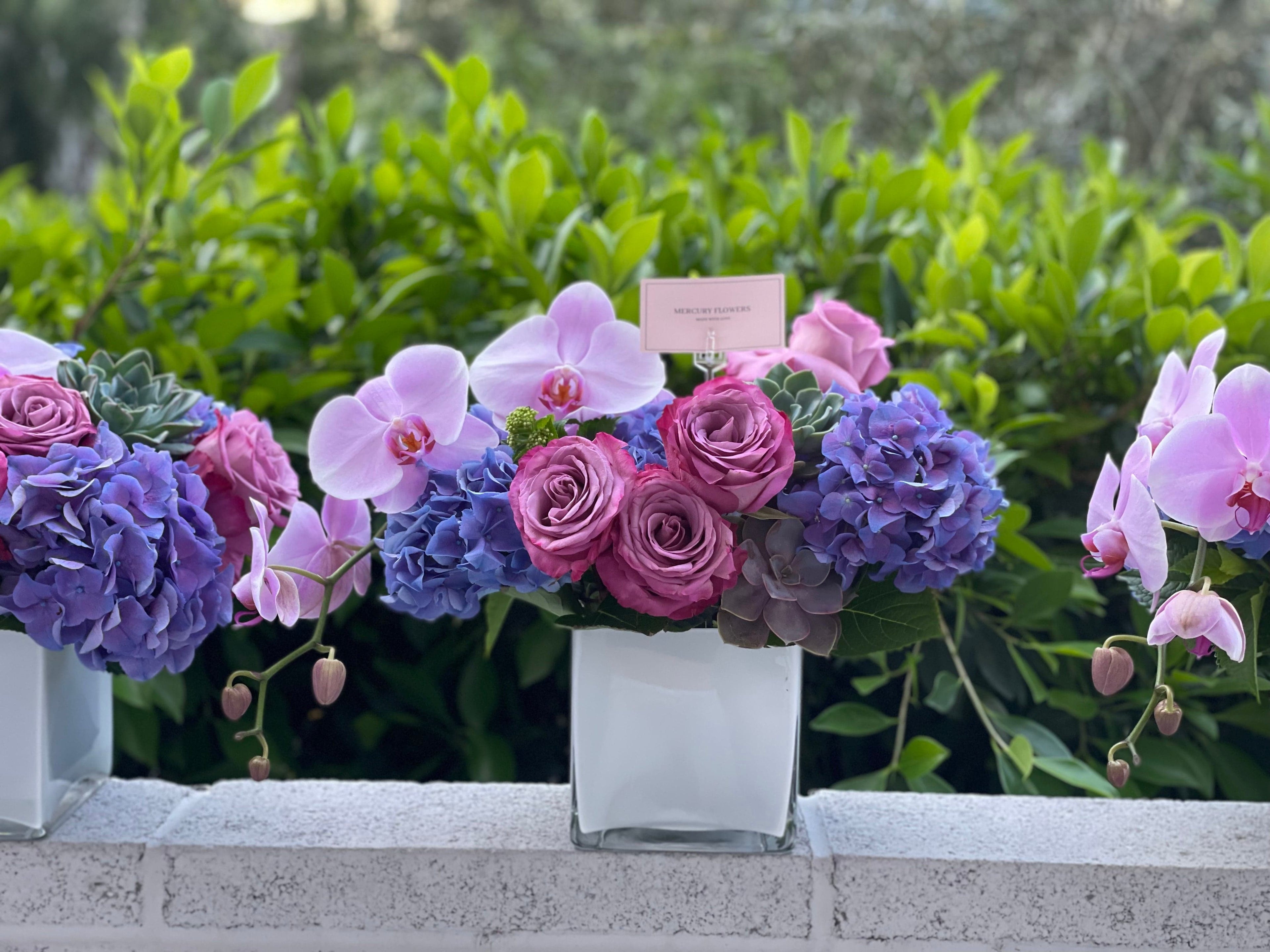 Arreglo floral con orquídea y suculentas en jarrón cuadrado de vidrio.
