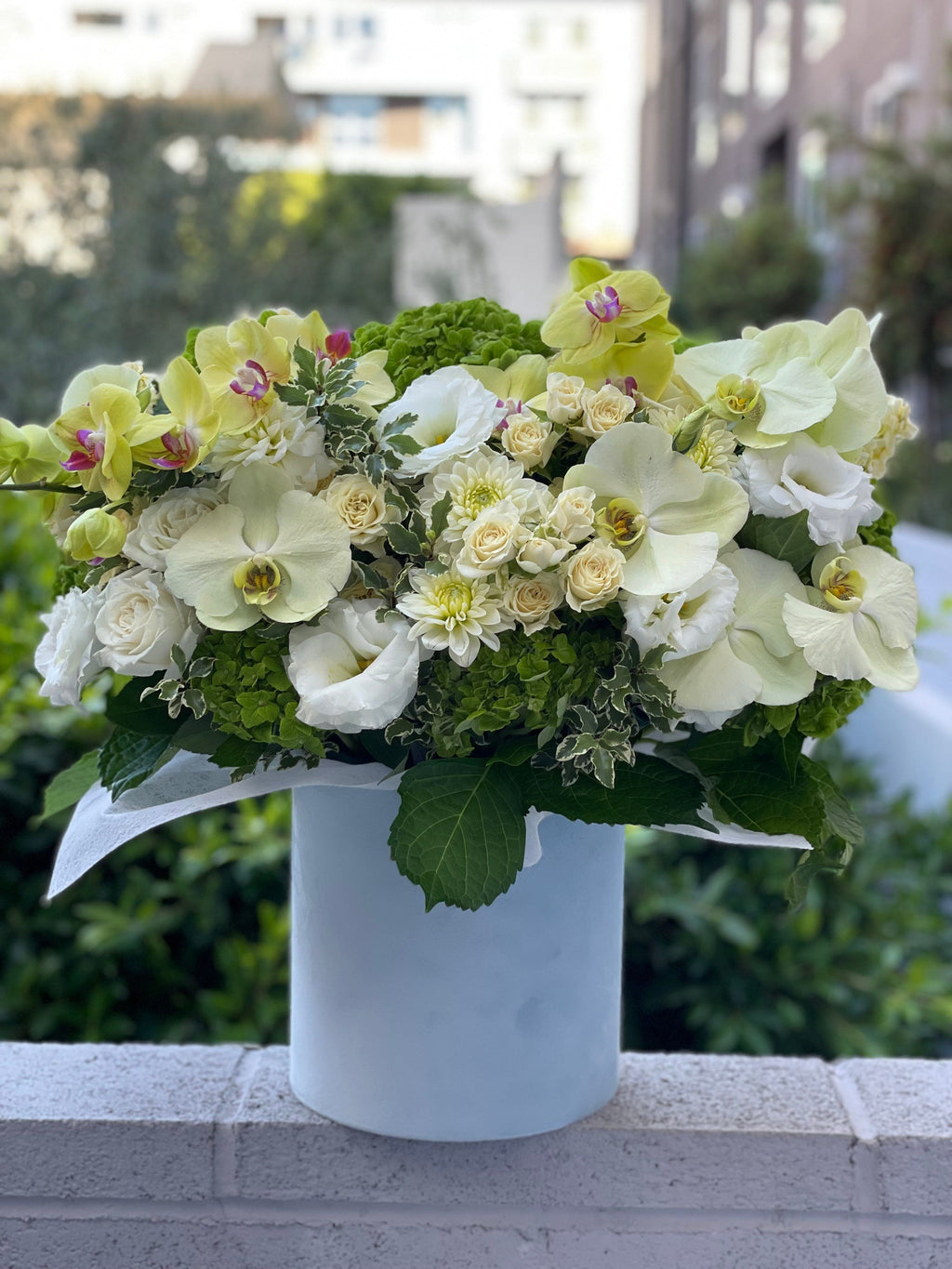Caja de verano con orquídeas limón