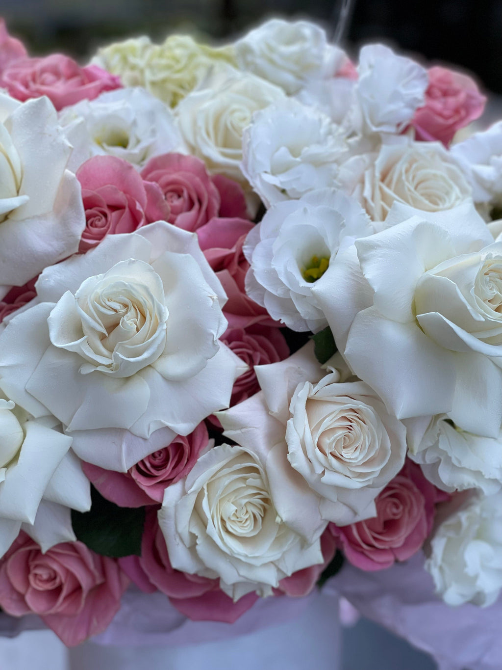 Mezcla de rosas blancas y rosas
