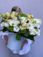 Caja de verano con orquídeas limón