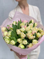 Mix of tulips