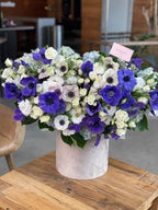 Grand box with anemones