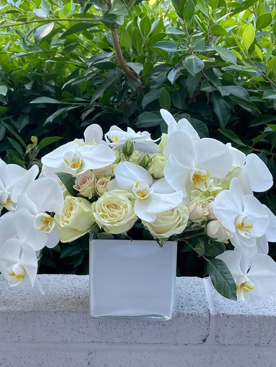 White orchids with white roses in a medium vase