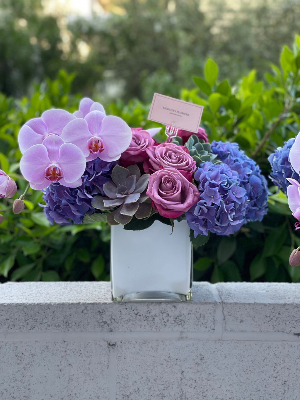 Arreglo floral con orquídea y suculentas en jarrón cuadrado de vidrio.