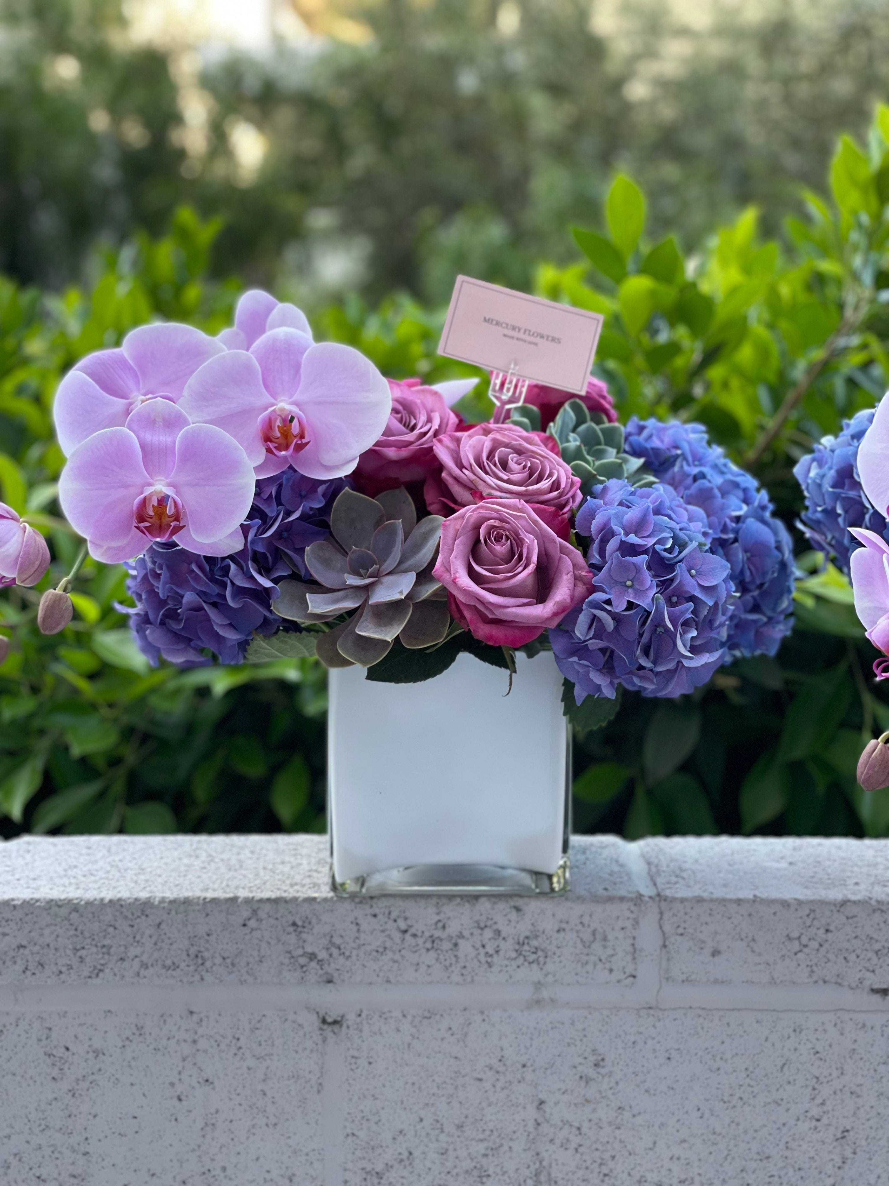 Arreglo floral con orquídea y suculentas en jarrón cuadrado de vidrio.