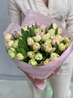 Mix of tulips