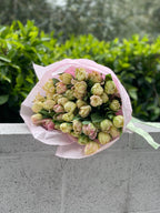 Mix of tulips