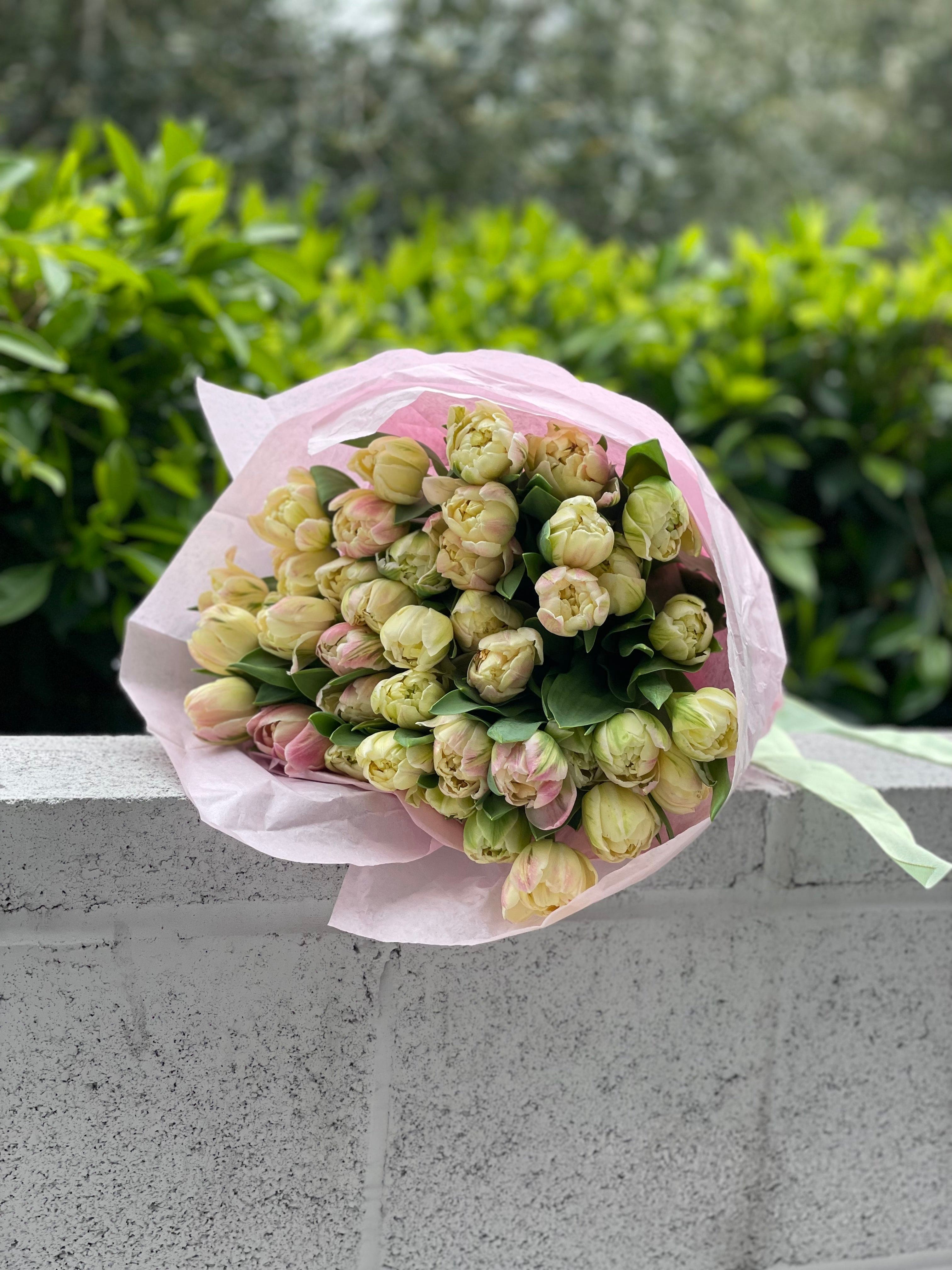 Mix of tulips