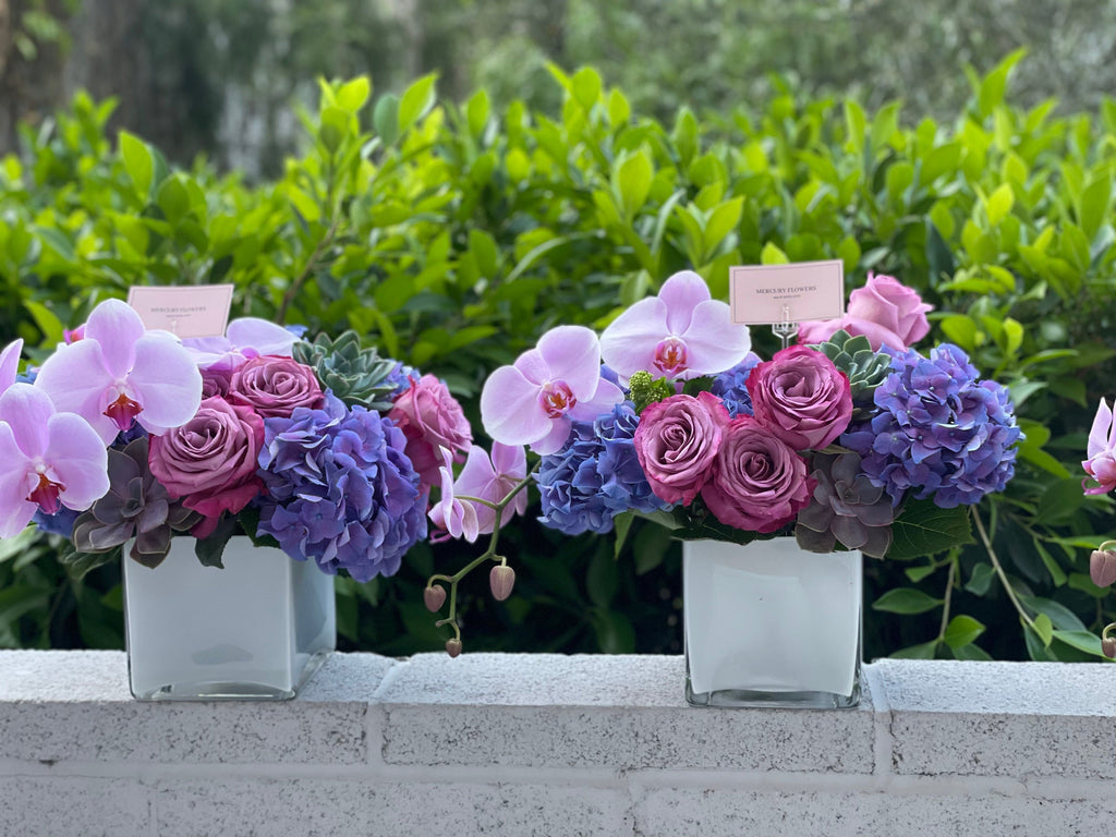 Arreglo floral con orquídea y suculentas en jarrón cuadrado de vidrio.
