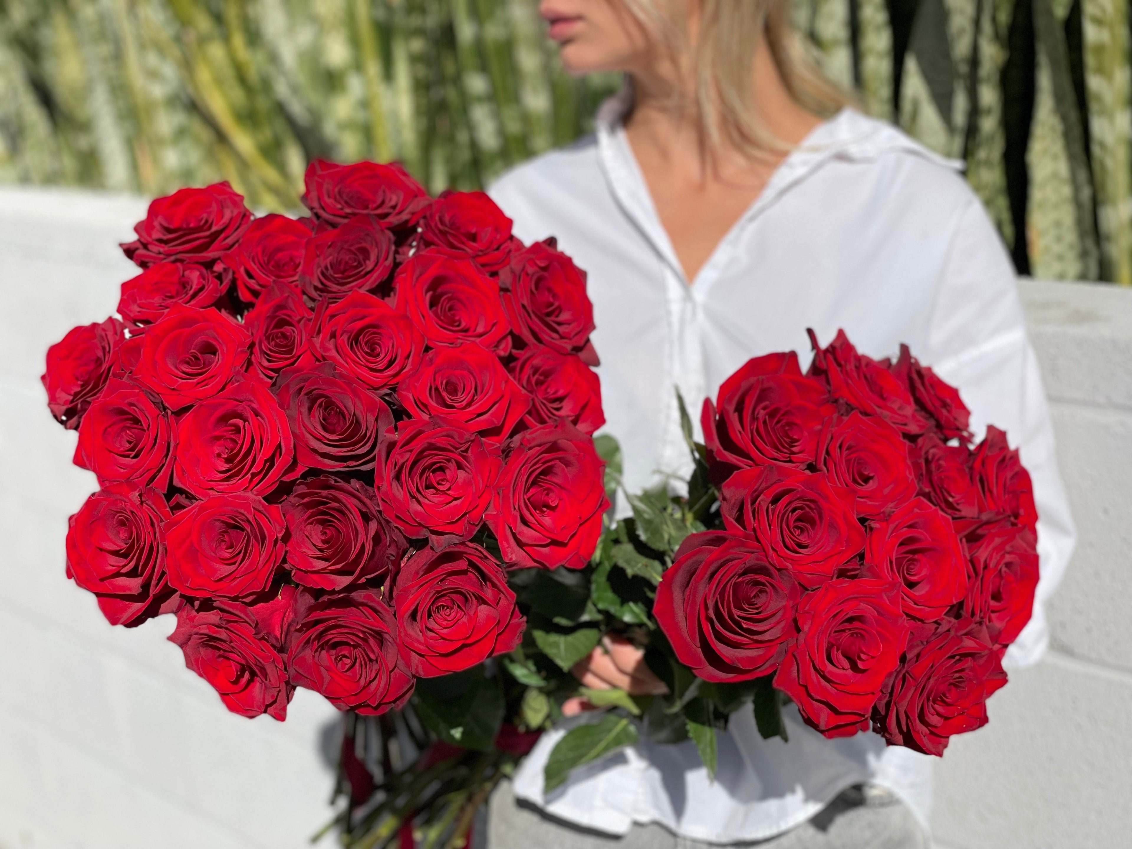 25 gorgeous red roses