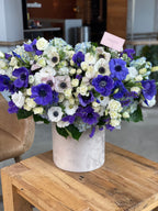 Grand box with anemones