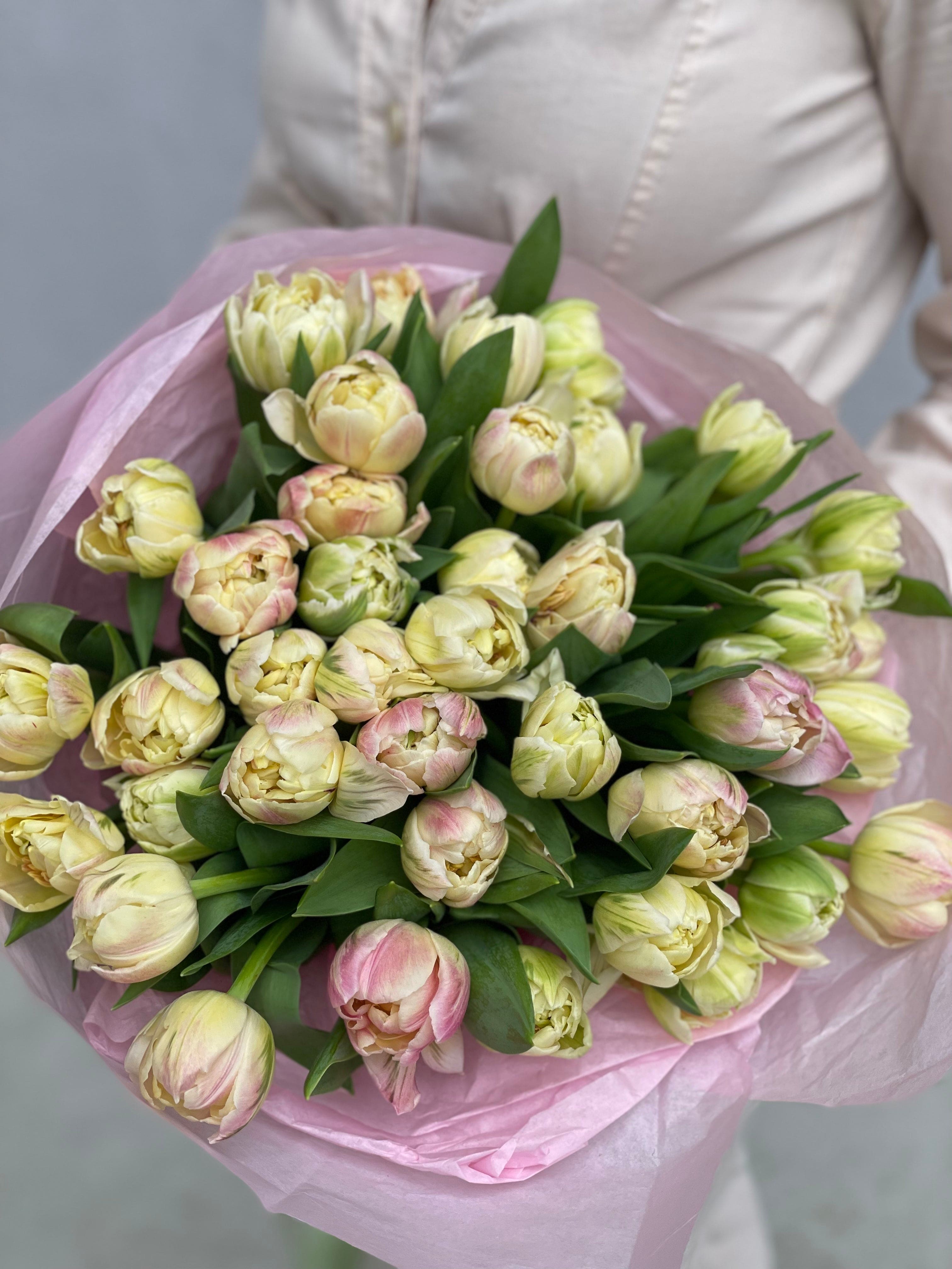 Mix of tulips