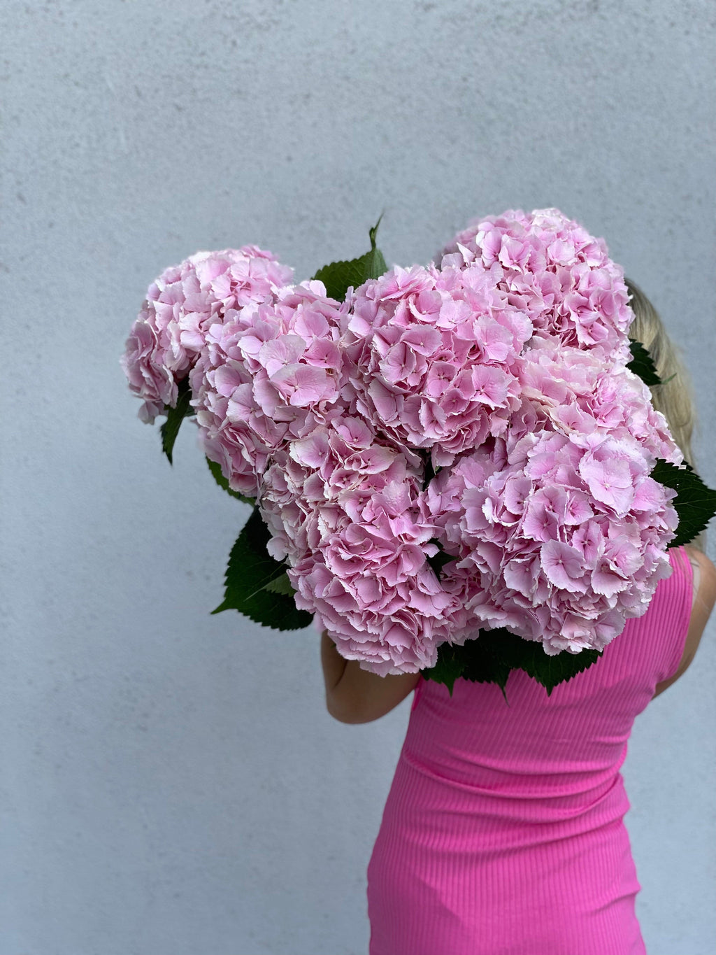 Ramo de hortensias premium en un jarrón alto.