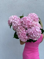 Ramo de hortensias premium en un jarrón alto.